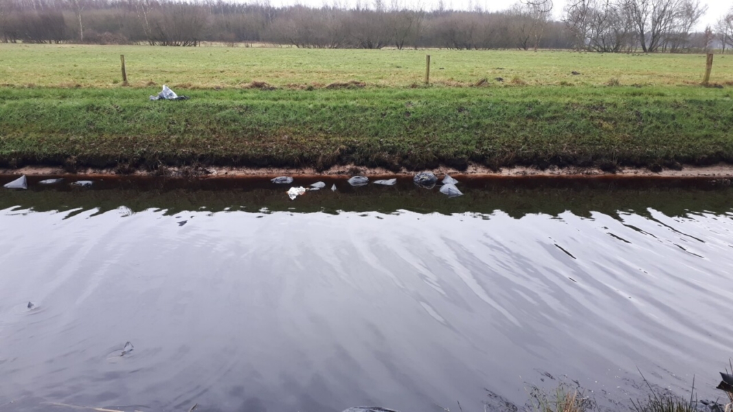 Ruim 100 vuilniszakken met hennepafval gedumpt in het Hekmanskanaal