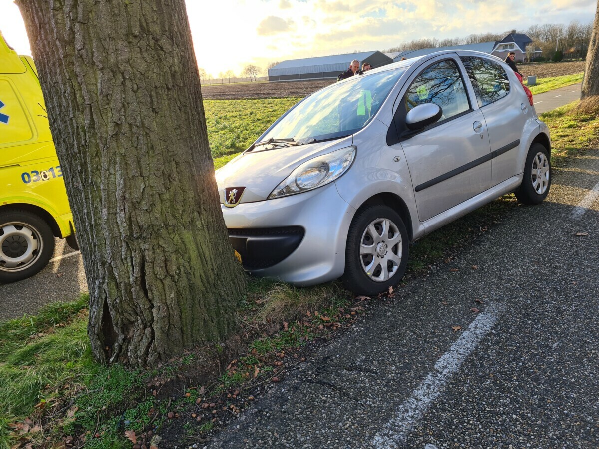 Automobiliste gewond bij botsing tegen boom op Asserstraat bij Assen