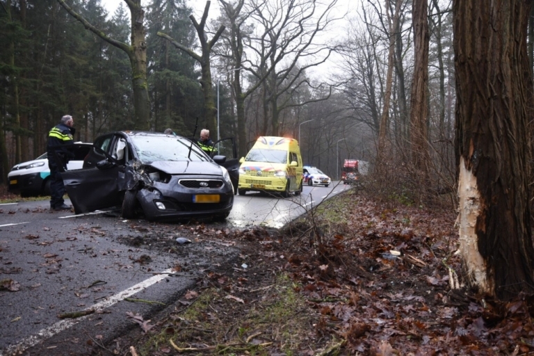 Bestuurder raakt gewond na botsing tegen boom in Emmen