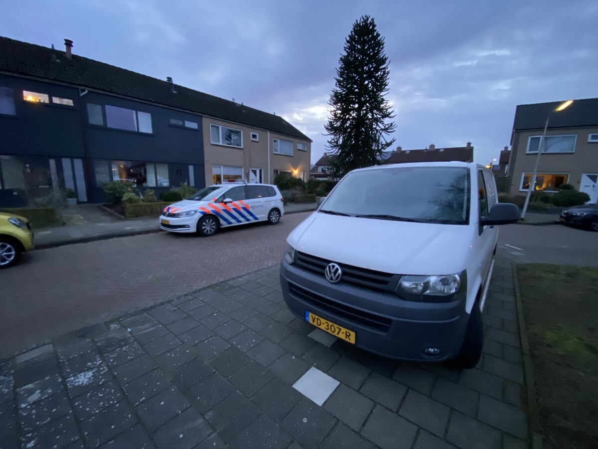 Kat overleden door ernstige mishandeling door persoon in Hoogeveen