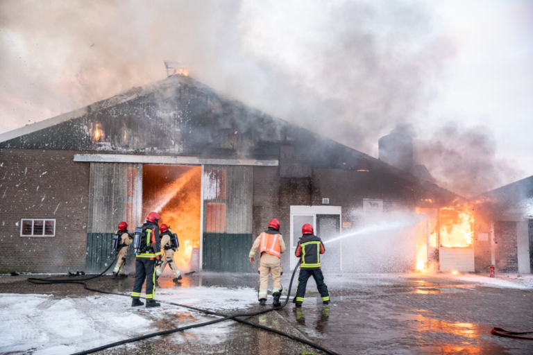 Grote brand in veestal Doezum: koeien in veiligheid gebracht