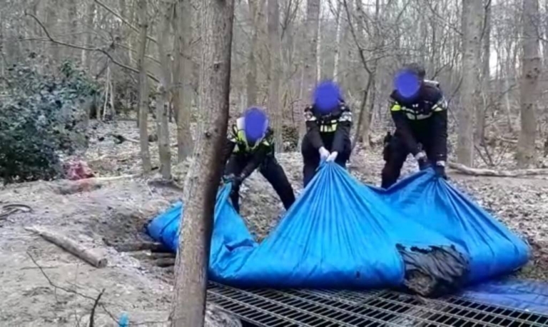 Politie treft gestolen hekken aan bij opdoeken ondergrondse hut in Oranjewoud