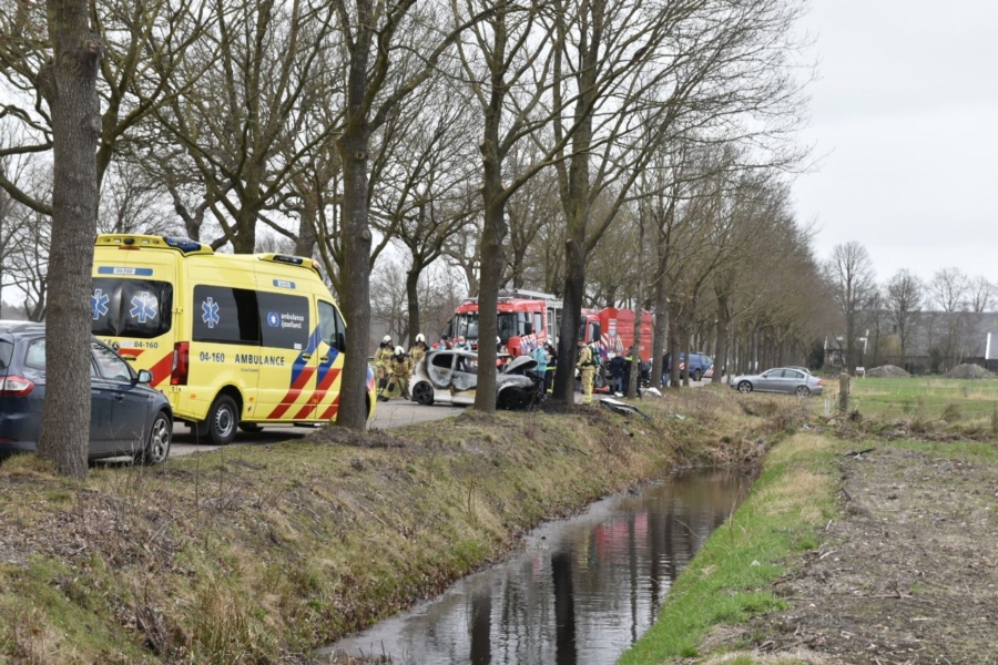 Auto botst tegen boom en vliegt in brand