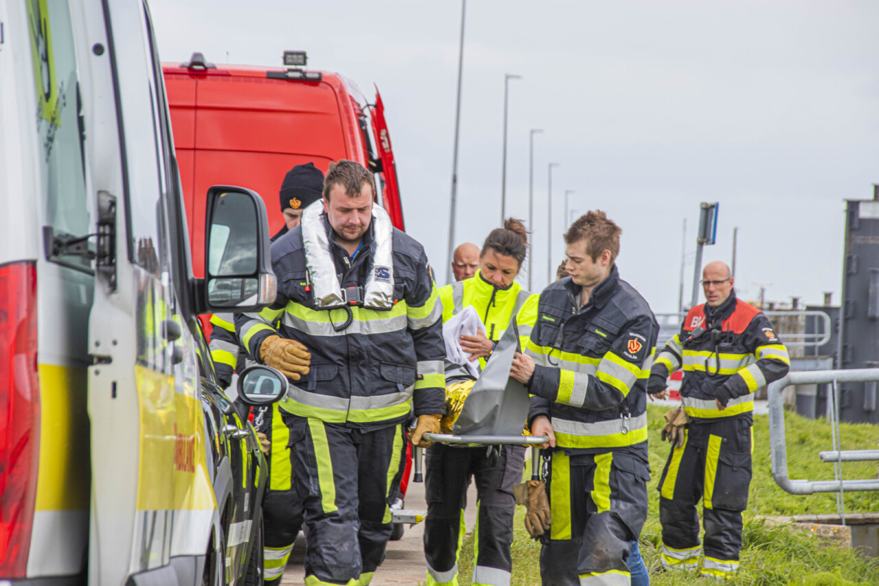 Gewonde ree uit het water gehaald door hulpdiensten