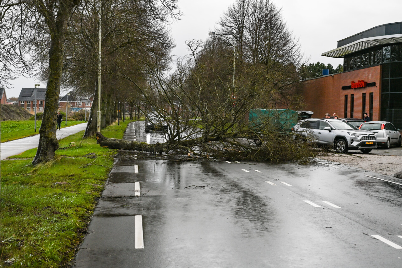 Auto raakt zwaar beschadigd na botsing met boom