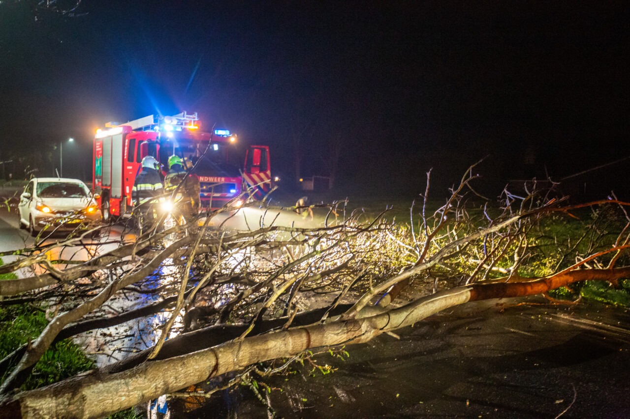 Brandweer weet boom snel van de weg te halen bij Olterterp