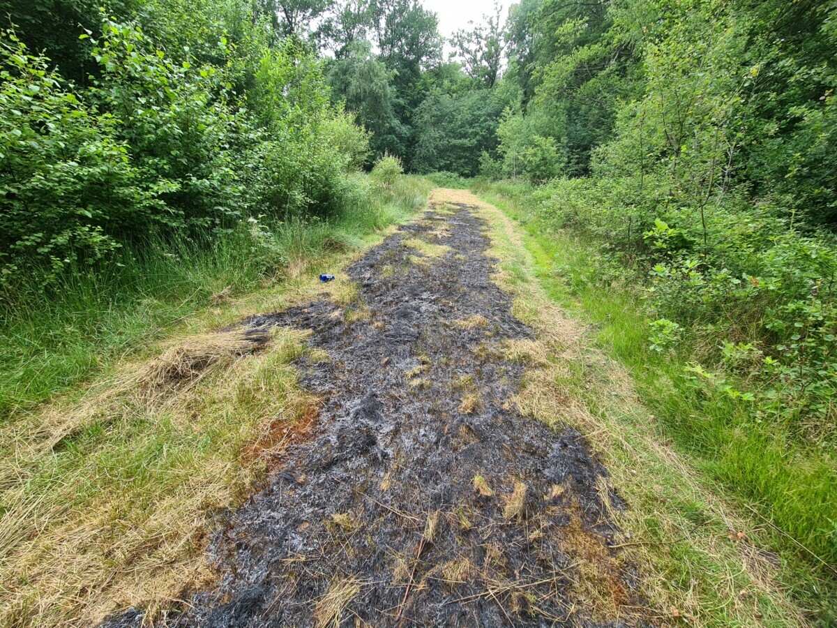 Natuurbrand in Assen geblust door omstanders