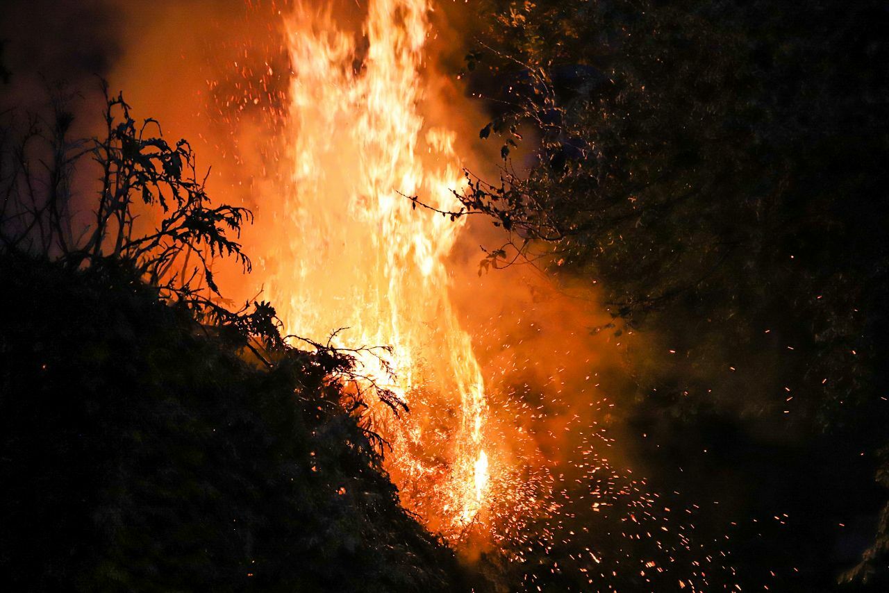 Coniferenhaag in brand gestoken aan het Bloemkamp in Drachten (video)