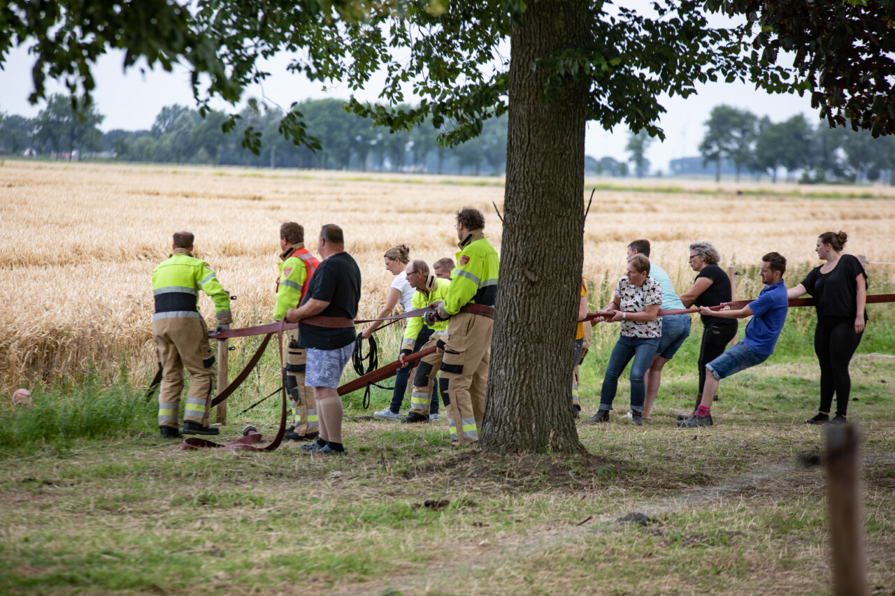 Brandweer redt paard uit sloot in Nieuwolda