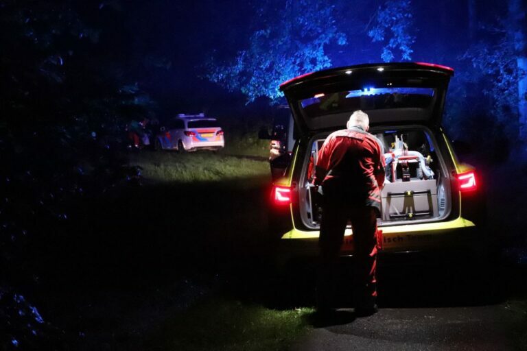 Jongere klimt in boom en valt eruit in Assen; gewond naar ziekenhuis