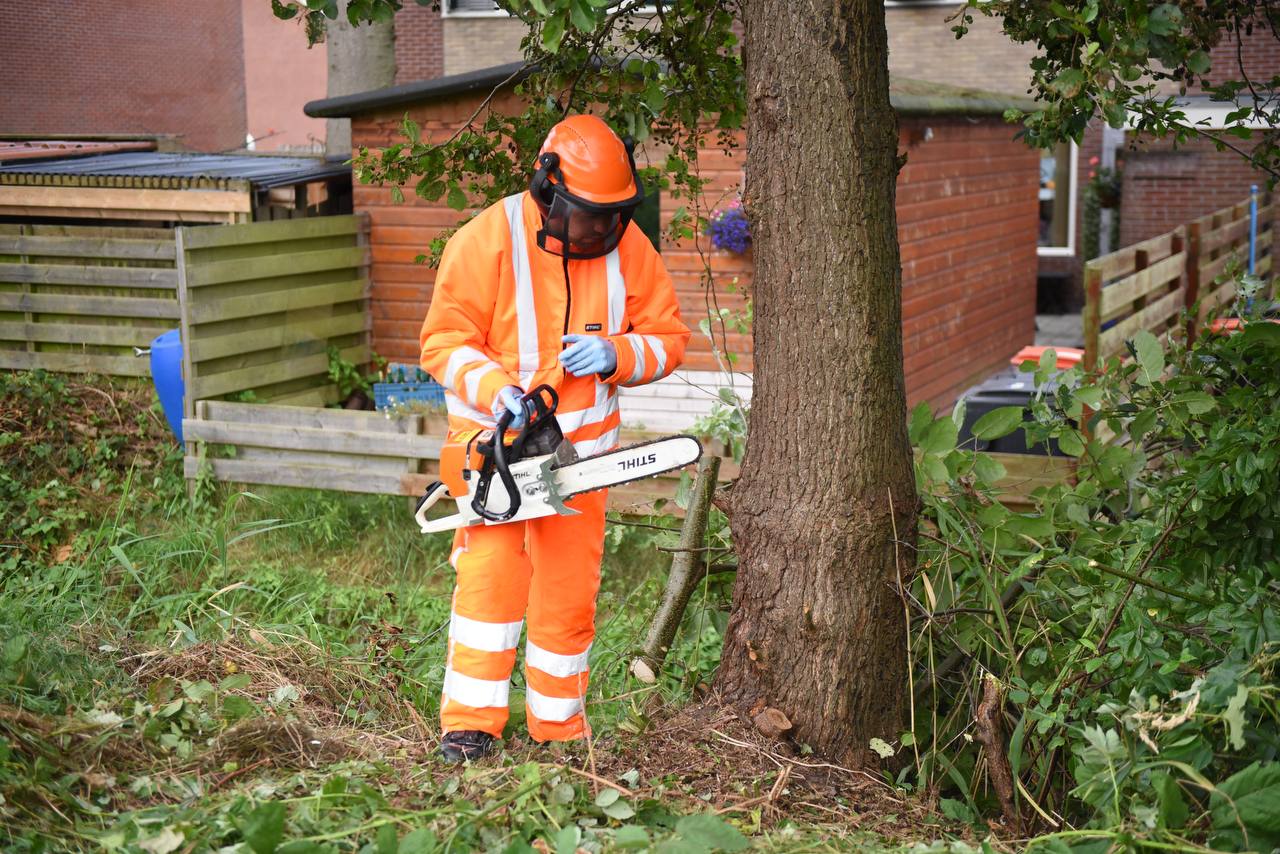 Poes Odie zorgt opnieuw voor brandweer inzet in Scheemda; boom omgezaagd