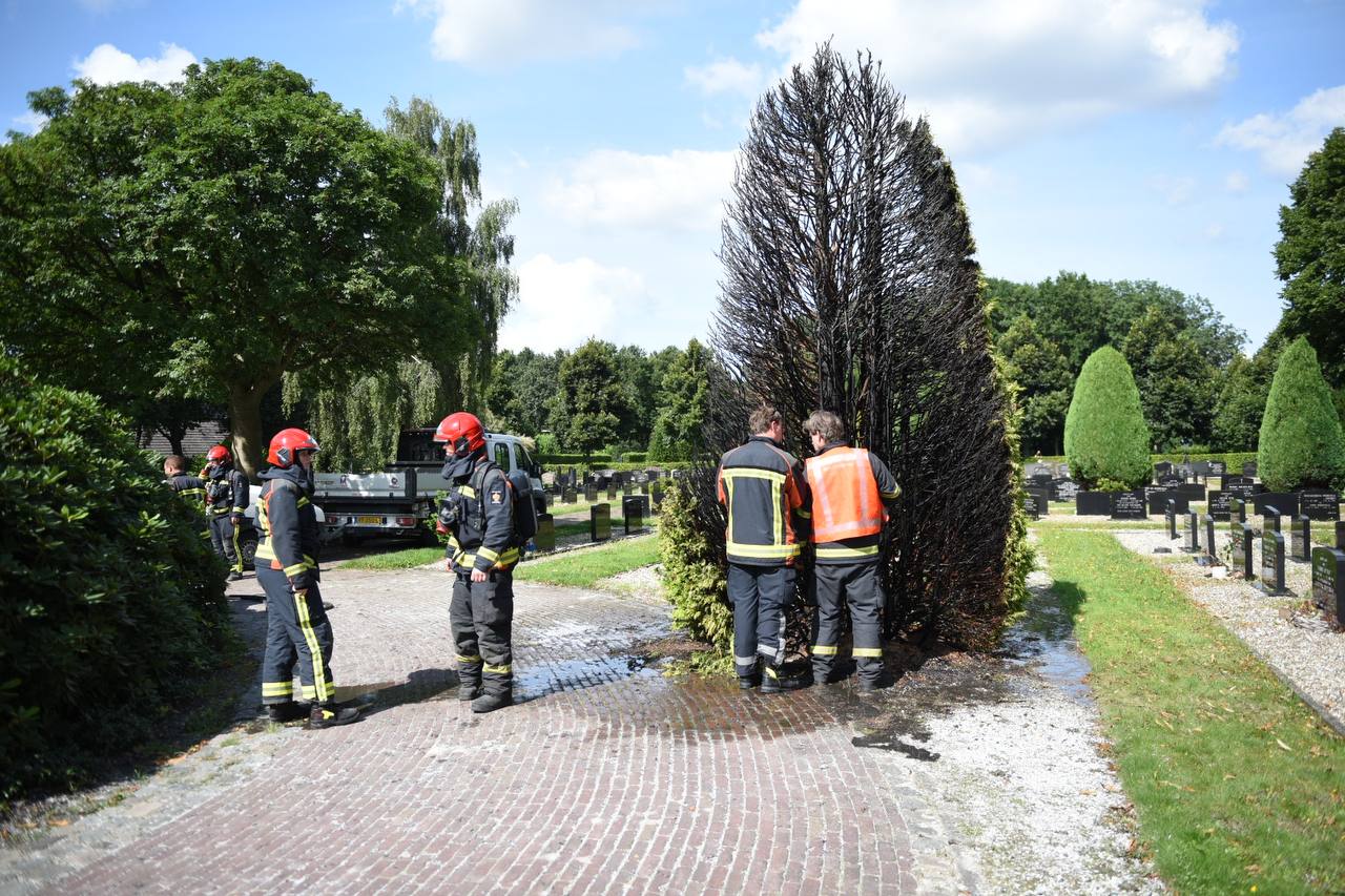 Conifeer vat vlam in Meeden