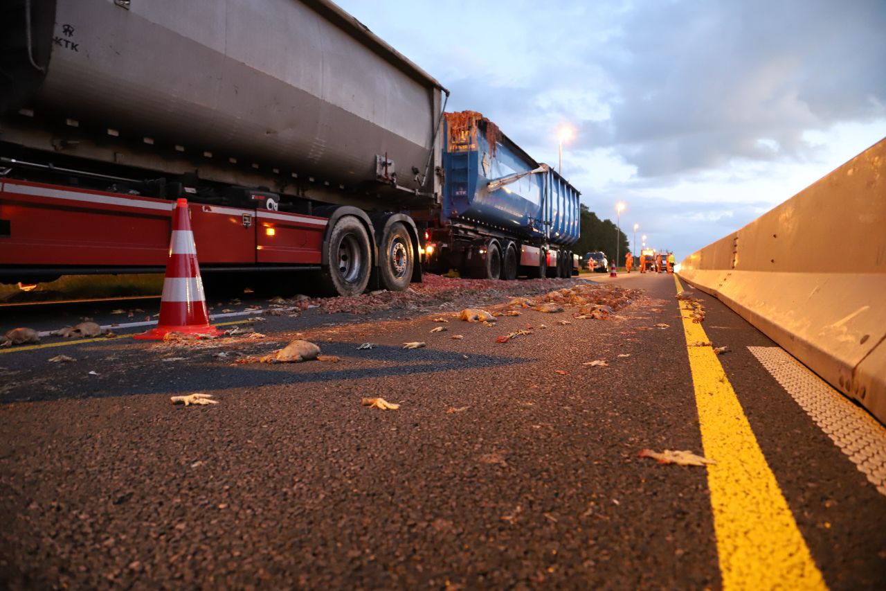 Vrachtwagen verliest slachtafval na noodstop op de A7 richting Drachten