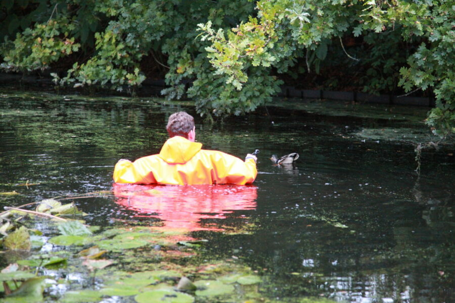 Eend vast in touw in sloot; brandweer start reddingsactie