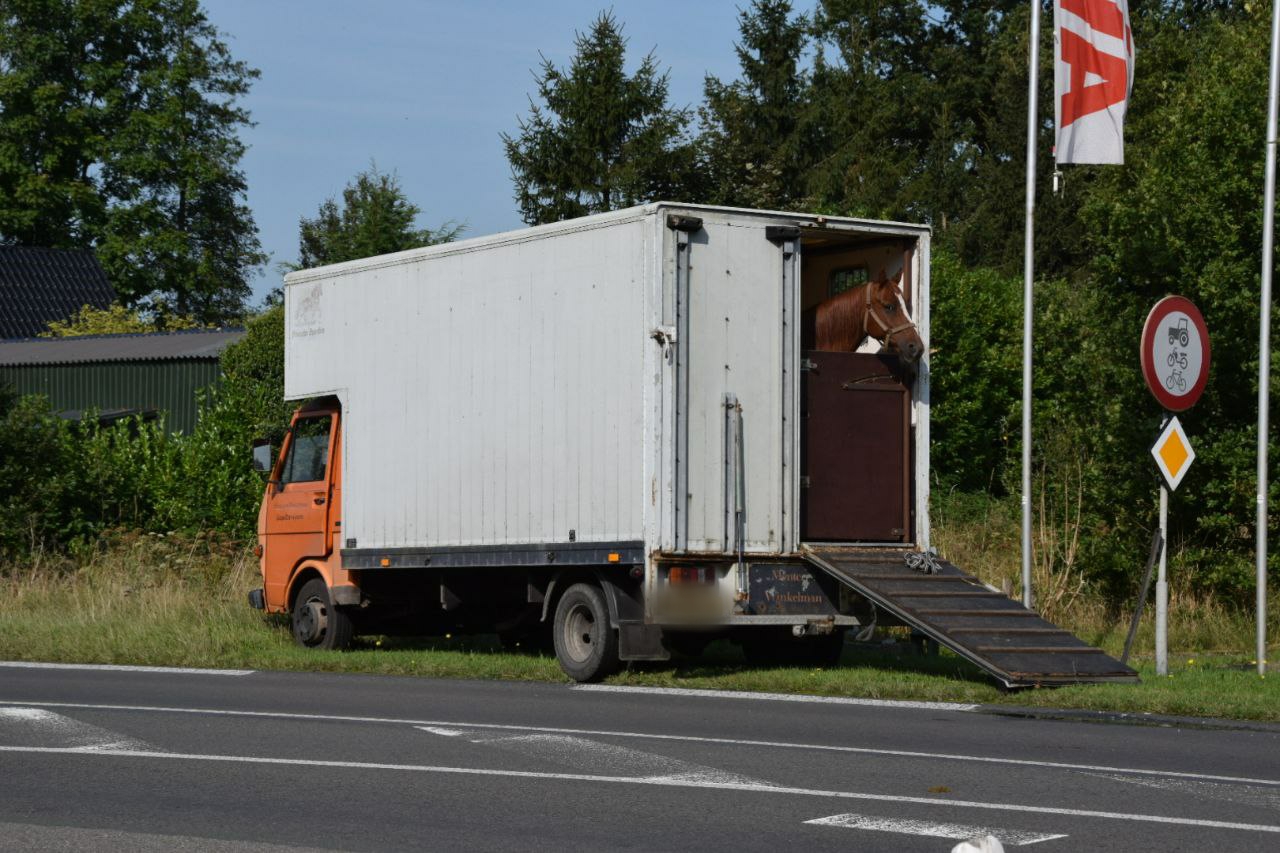 Vrachtwagen met paarden botst op auto bij Jistrum