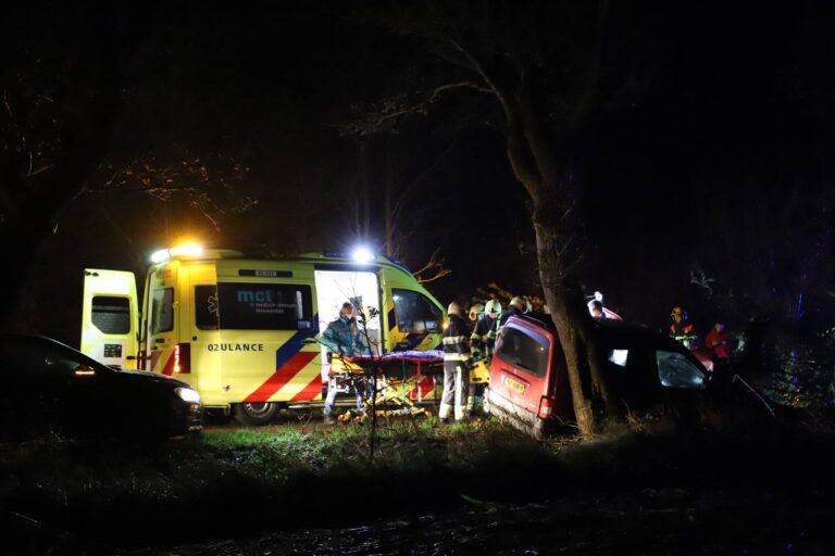 Bestelbusje botst tegen boom in Sumar