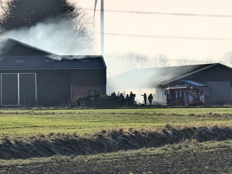 Broei in mestopslag in schuur bij Scheemda
