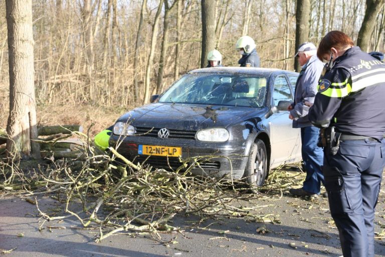 Auto beschadigd door vallende tak uit boom in Drachtstercompagnie