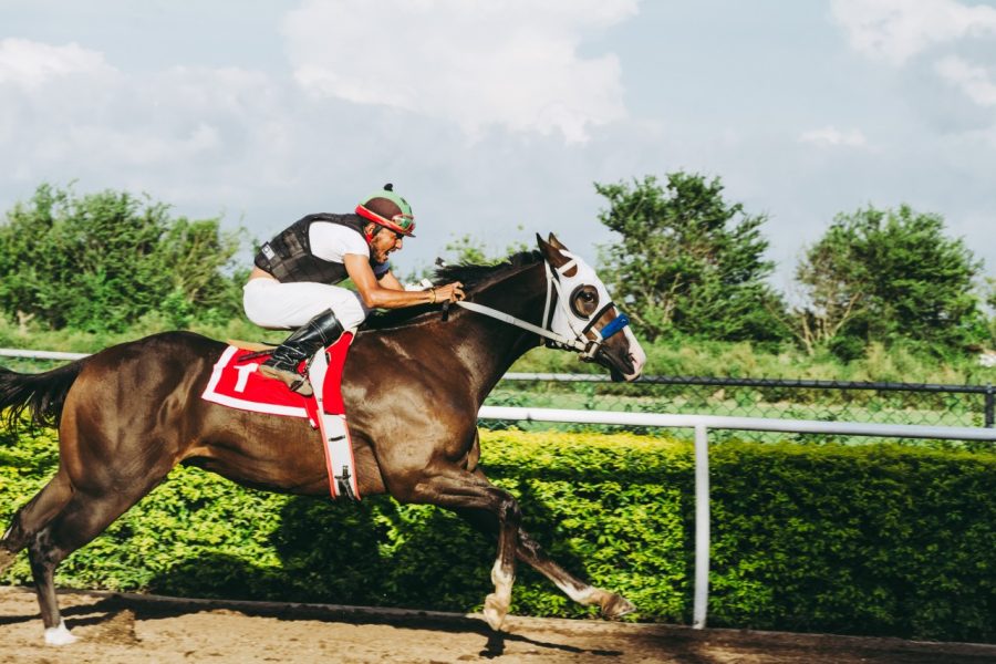 Wat nu voor Groningse paardenraceliefhebbers