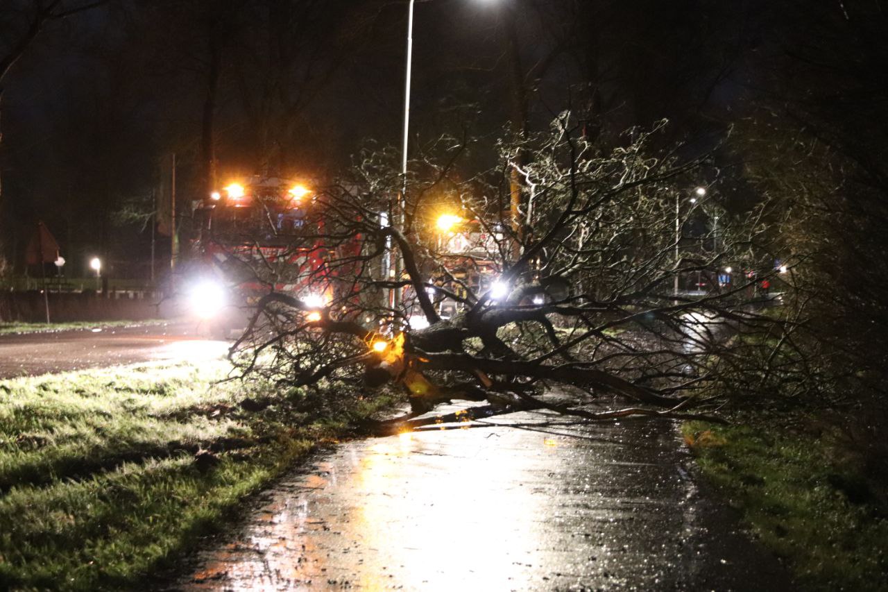 Boom omgewaaid op fietspad bij Joure