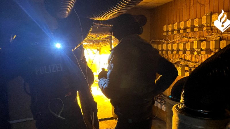 Vier verdachten aangehouden voor witwassen en productie softdrugs