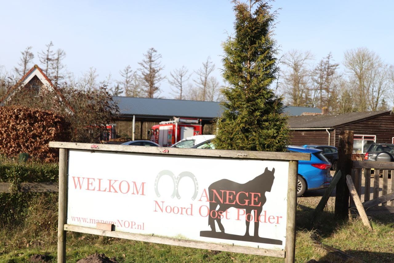 Brandweer bevrijdt vastzittend paard uit stal