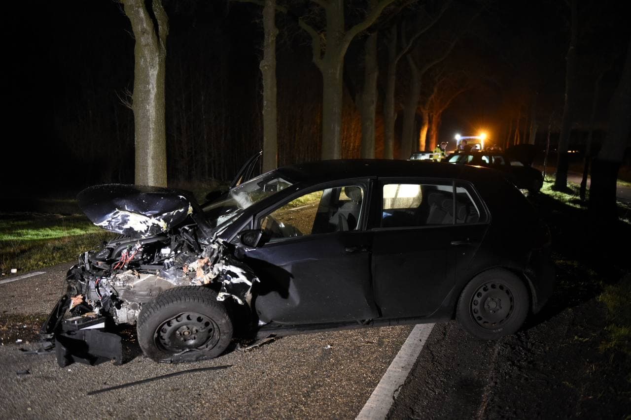 Auto botst tegen boom bij Bourtange