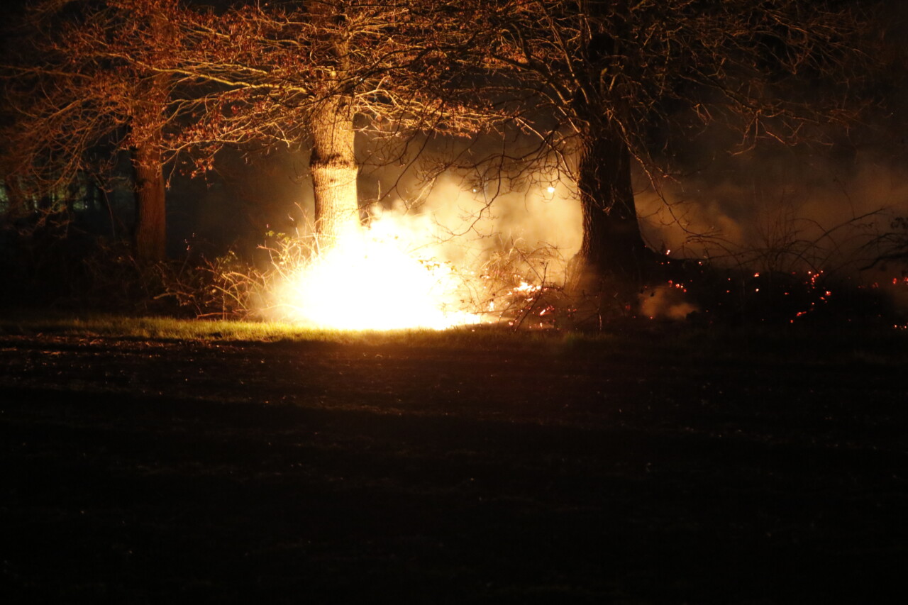 Bosschage in brand in Emmen