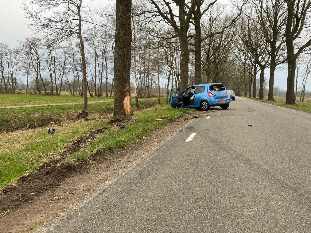 Bestuurster moet uitwijken en botst vervolgens op boom in Drachtstercompagnie