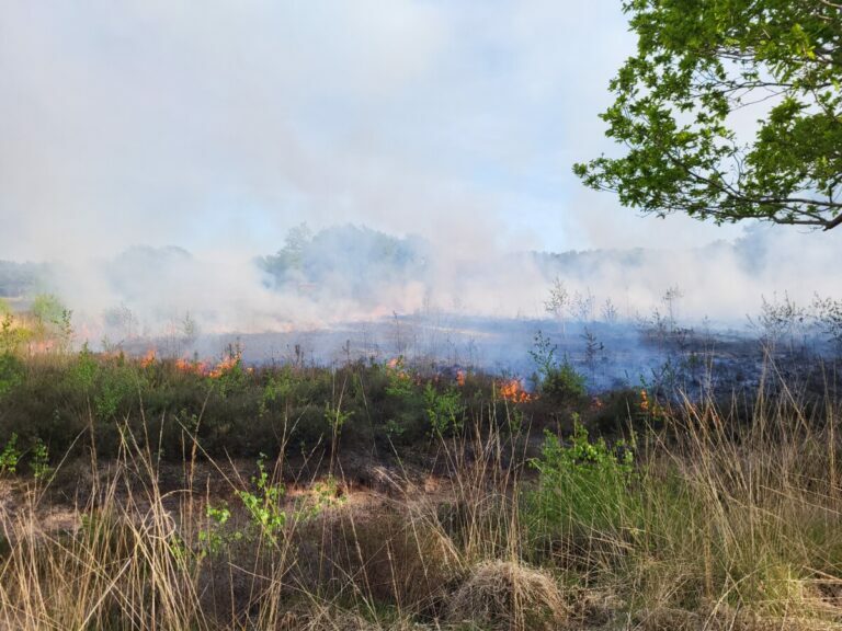 Fors stuk heide in brand bij natuurgebied Baggelhuizen