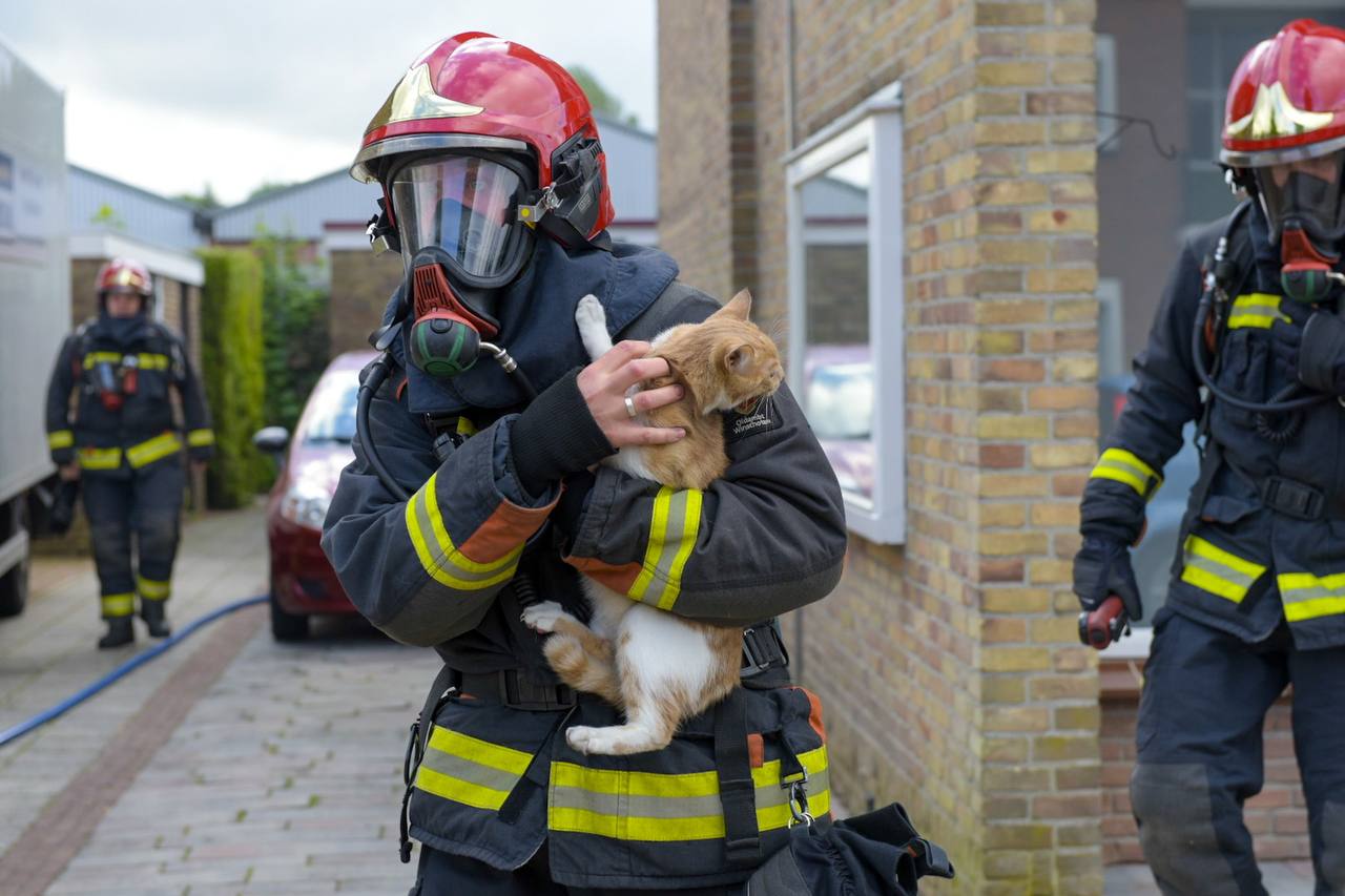 Twee katten gered door brandweer bij woningbrand in Winschoten