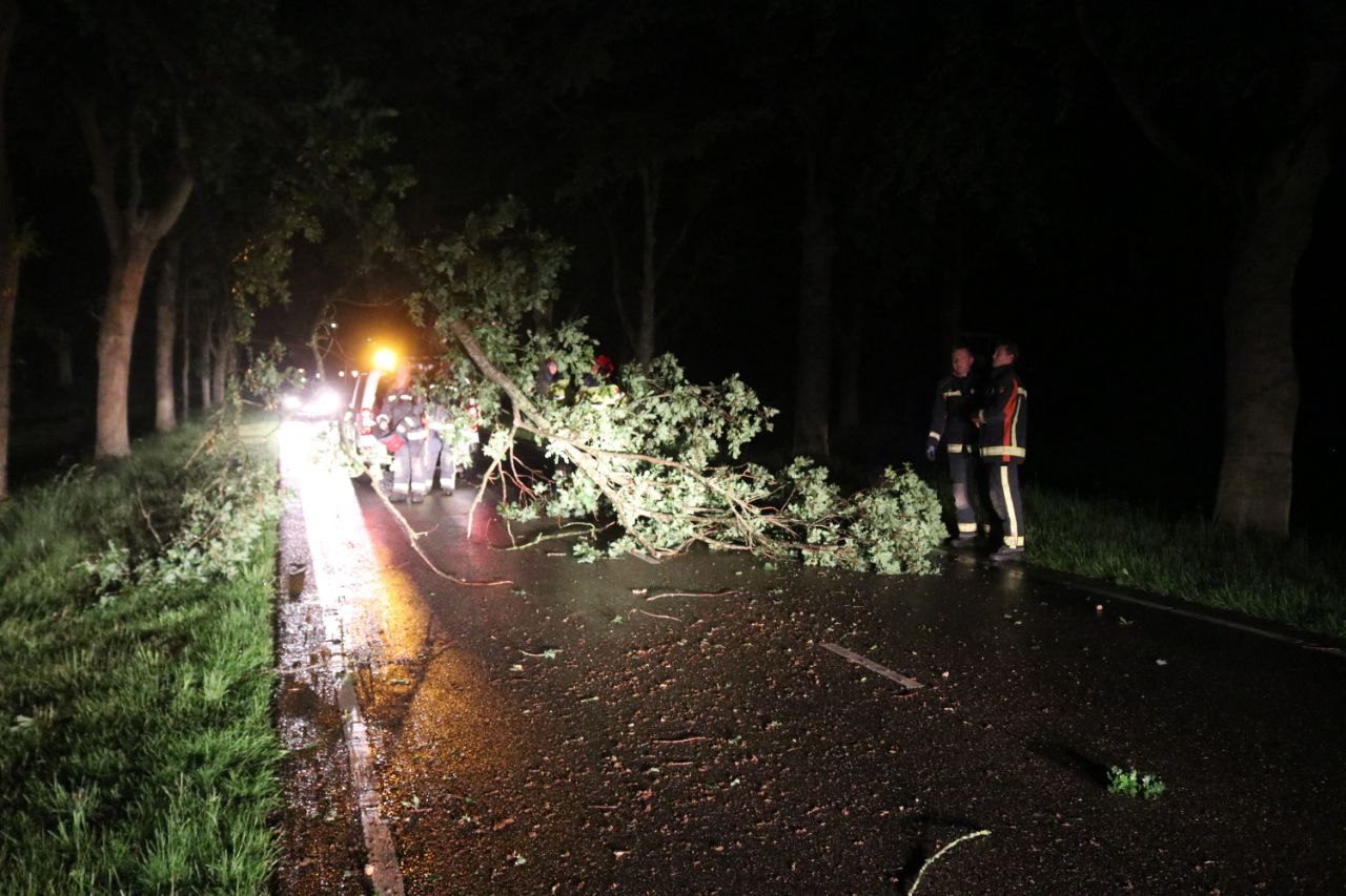 Gemeente en brandweer verwijderen grote tak van weg in Winschoten