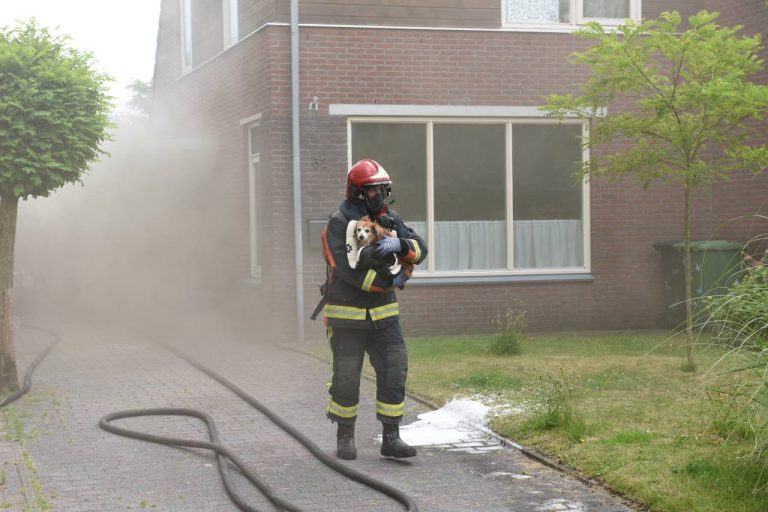 Brandweer redt hond uit brandende woning in Tolbert