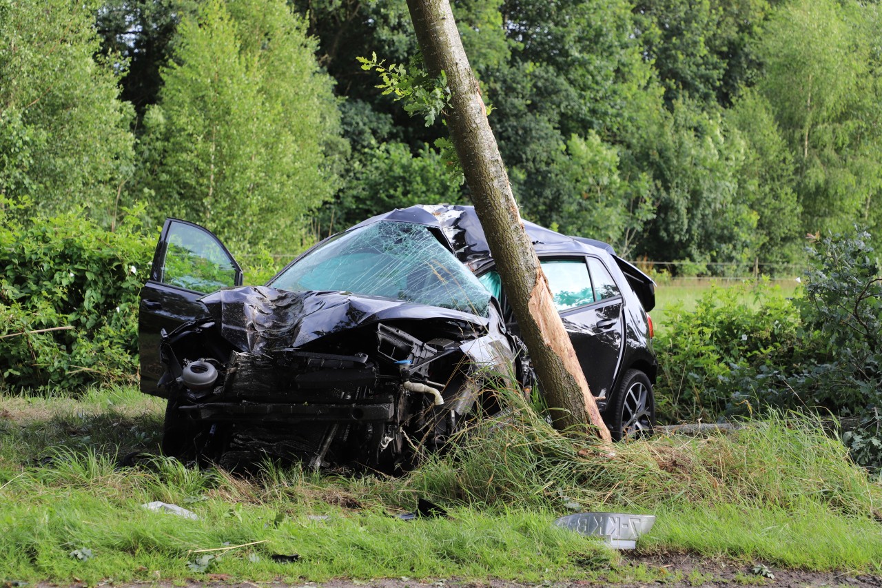 Auto botst tegen boom bij provinciegrens