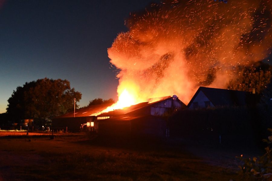 Kalveren omgekomen bij grote uitslaande schuurbrand in Oldeberkoop