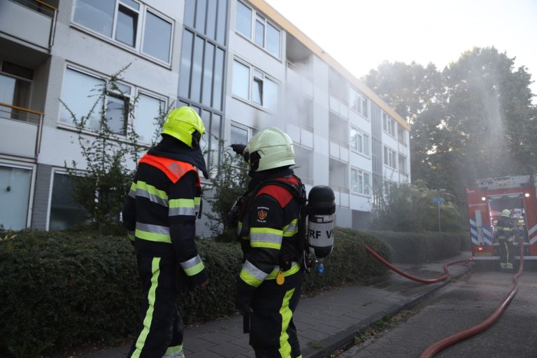 Katten gered bij brand in Drachten