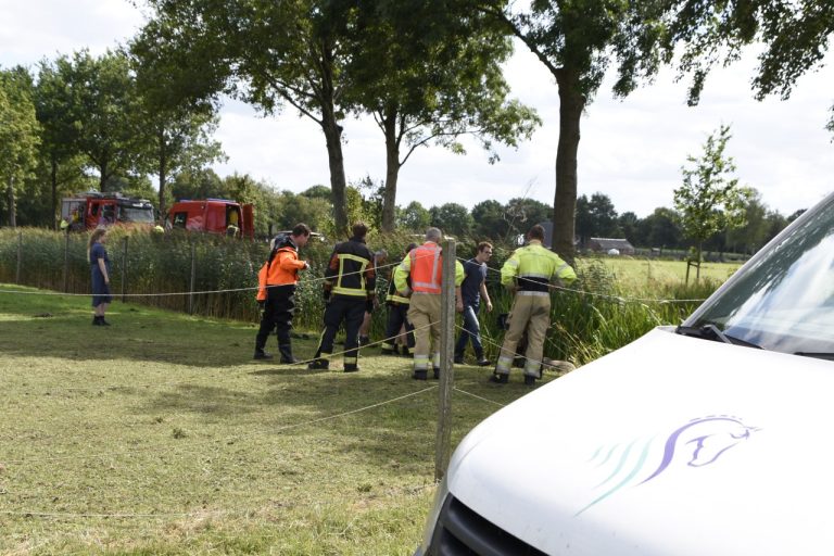 Paard wordt uit sloot gered door brandweer in Zevenhuizen