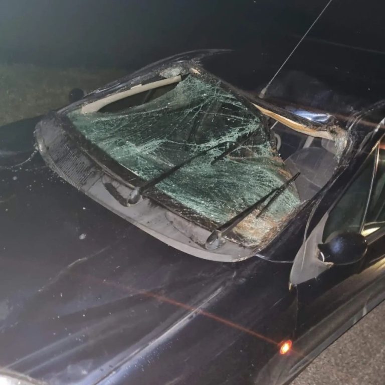 Automobiliste in het donker oog in oog met paarden bij Burdaard