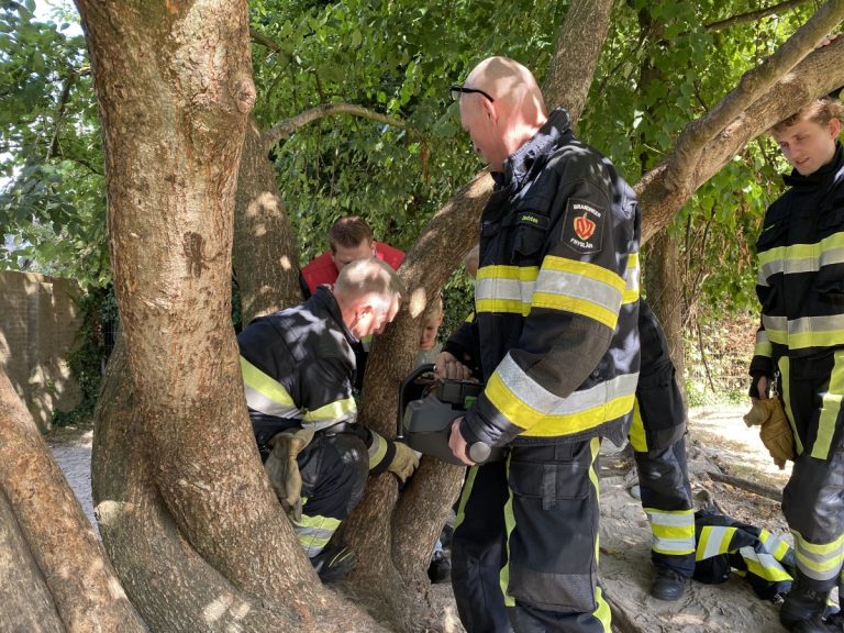 Levi (4) komt met knie vast te zitten in boom in Drachten