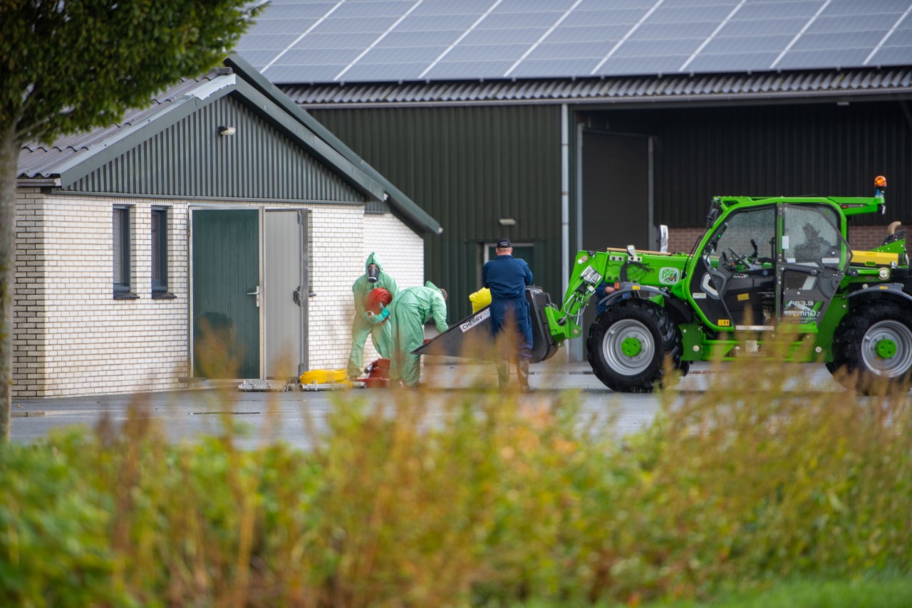 Vogelgriep vastgesteld in Nieuw-Weerdinge (provincie Drenthe)