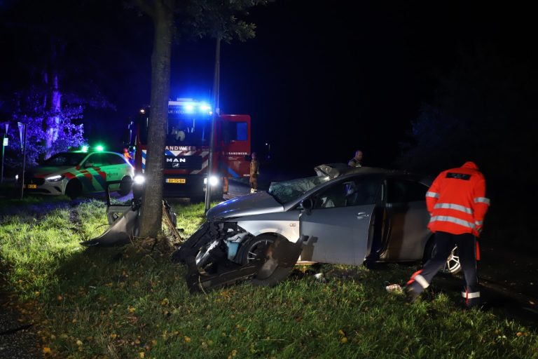 Automobilist ernstig gewond na ongeval in De Wijk (VIDEO)