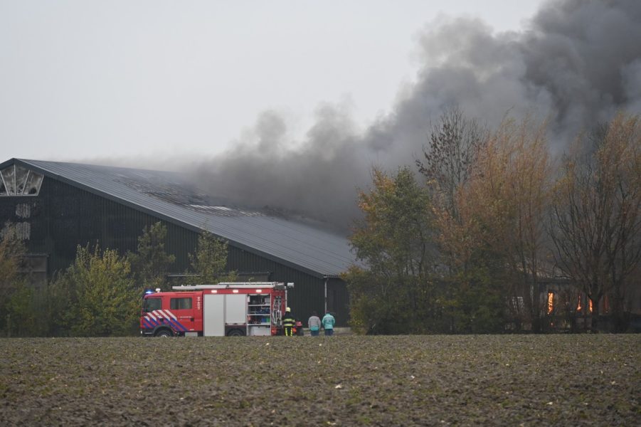 Grote brand op manege in Ee (video)