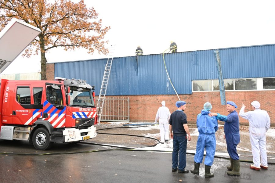 Dakbrand bij slachthuis in Surhuisterveen