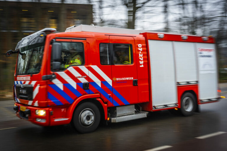 2 pony’s overleden bij grote brand bij Jutrijp
