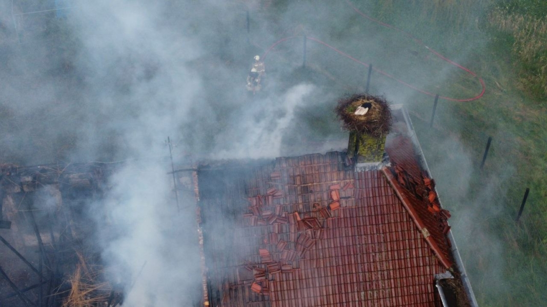 Brand in leegstaande boerderij lijkt ooievaar niet te deren