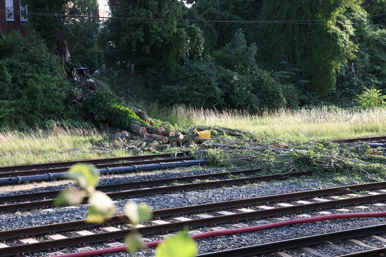 Boom valt op bovenleiding van treinen