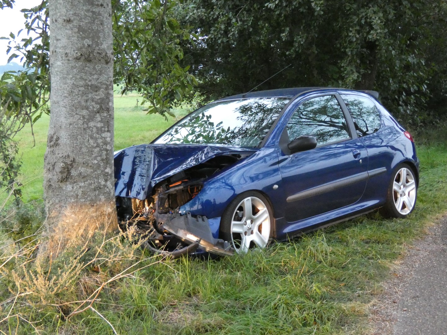 Auto botst tegen boom naast weg: bestuurder naar ziekenhuis
