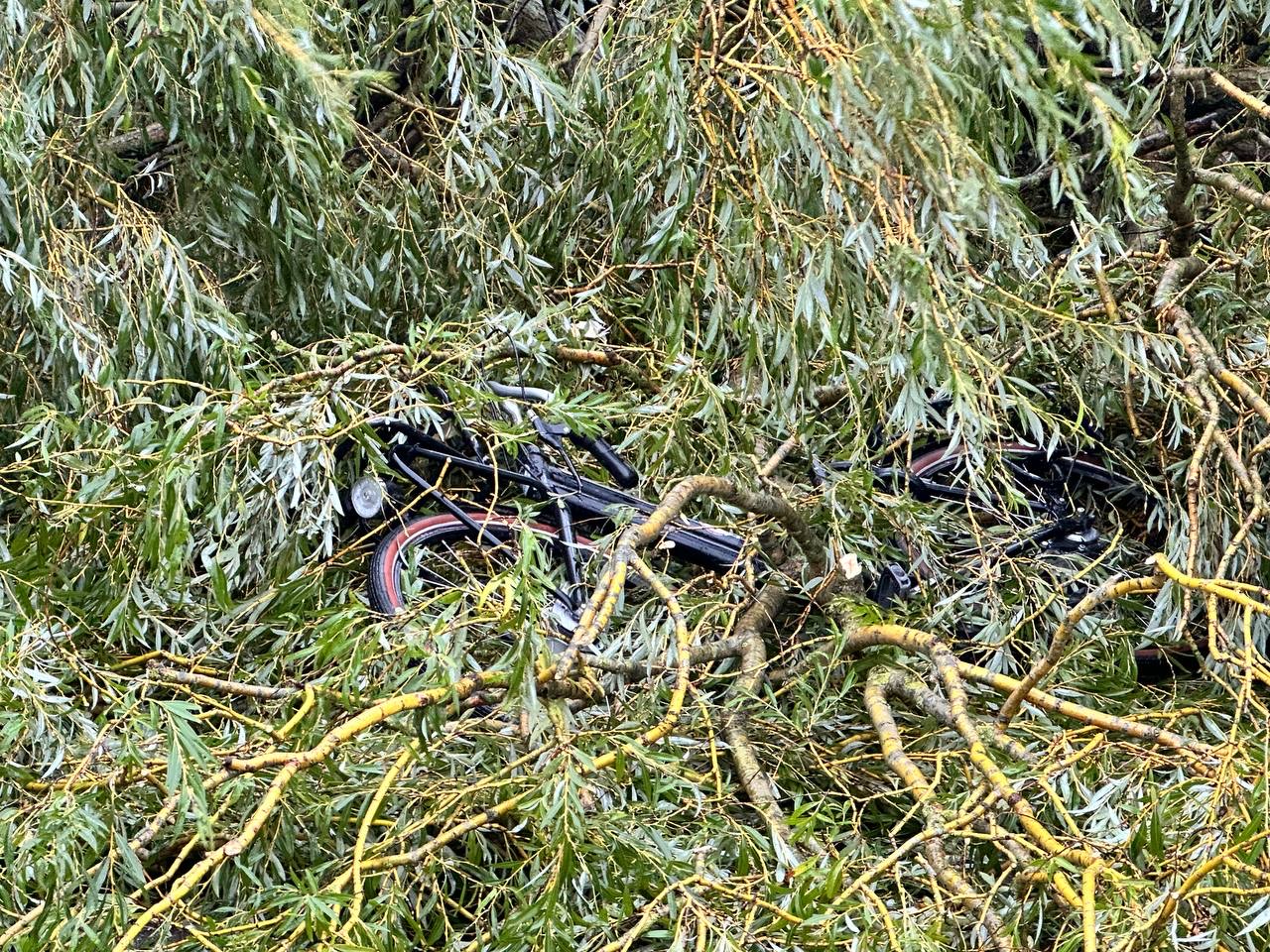 Meisje op fiets bekneld onder omgevallen boom