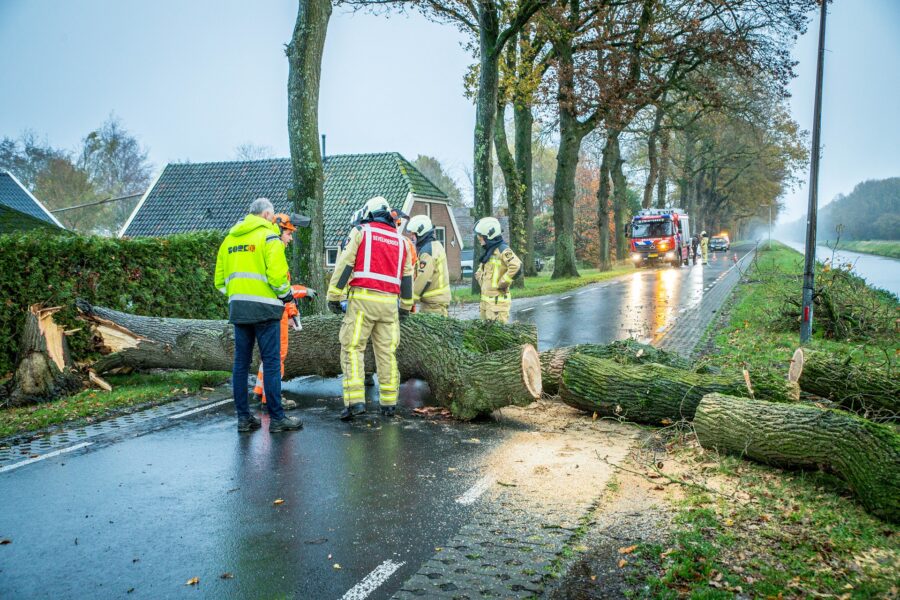 Brandweer ingezet om omgewaaide boom te verwijderen