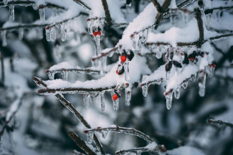 KNMI geeft code geel vanwege gladheid door sneeuw